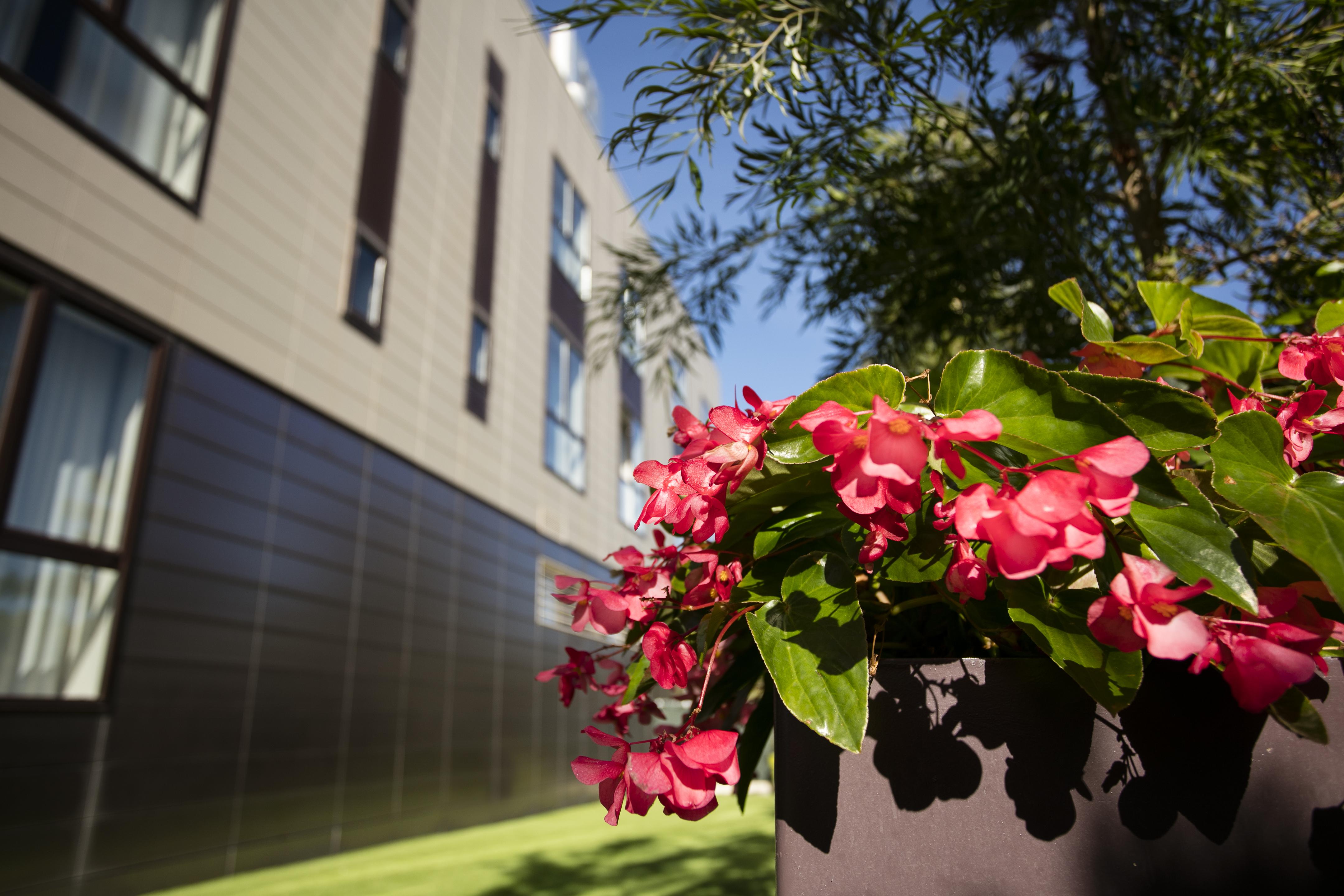 Hotel Desitges Dış mekan fotoğraf